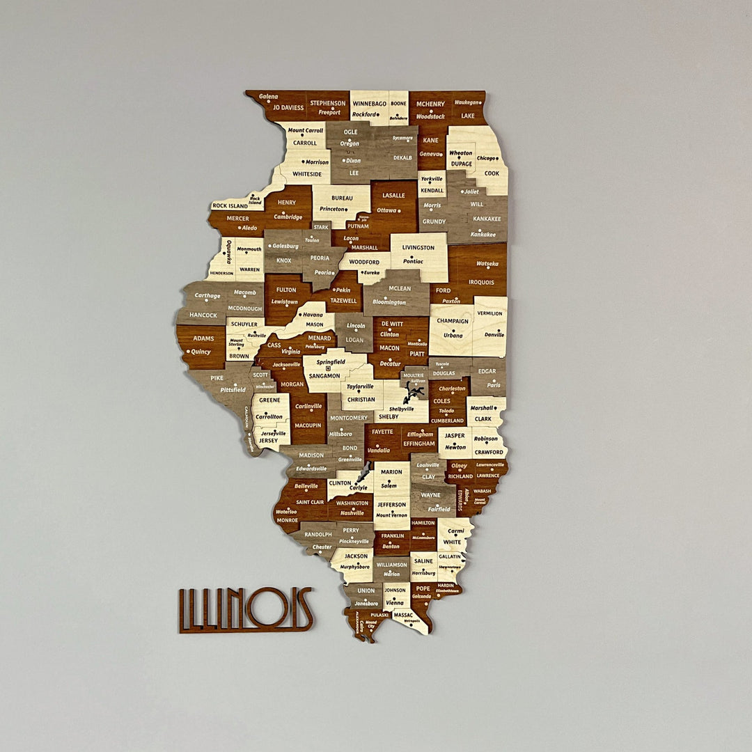 illinois-ahsap-duvar-haritasi-ahsap-duvar-dekoru-3d-ve-cok-renkli-el-ile-detaylandirilmis-tasarim-colorfullworldstr