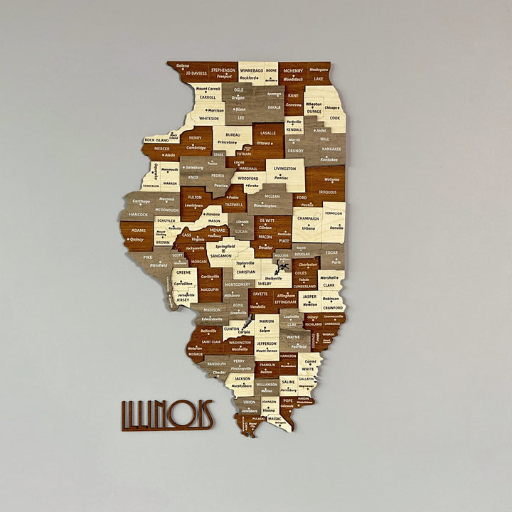 illinois-ahsap-duvar-haritasi-ahsap-duvar-dekoru-3d-ve-cok-renkli-el-ile-detaylandirilmis-tasarim-colorfullworldstr