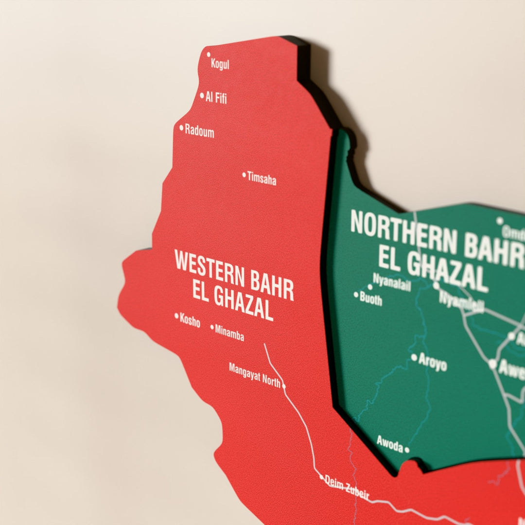 Güney Sudan ahşap haritasında bayrak renkli katmanlı bölgeler ve isimler, yakın plan