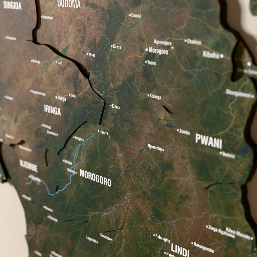 Tanzanya ahşap haritasında uydu görüntülü katmanlı bölgeler ve isimler, yakın plan